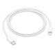 USB-C_to_Lightning_1m